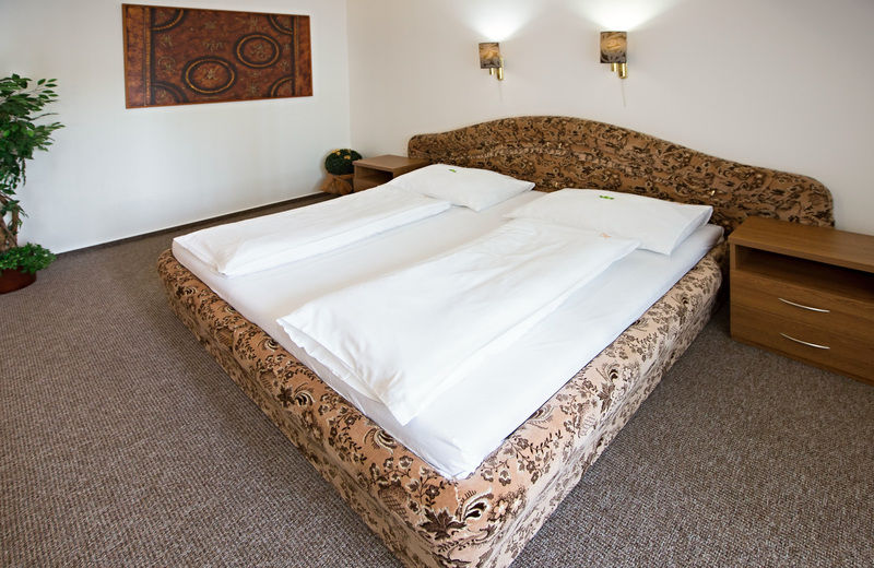 ליברץ Hotel Radnice מראה חיצוני תמונה